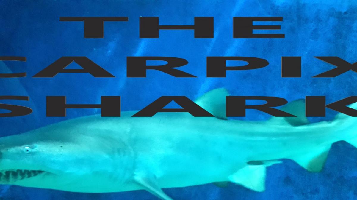 The carpix shark image accueil
